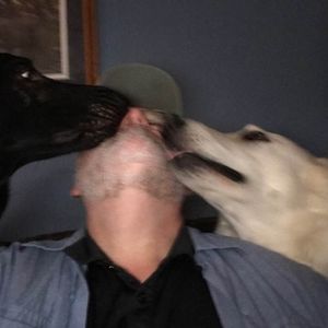 Meet your Posher, Gary